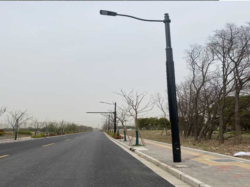 云和县上海综合杆 太阳能路灯工程